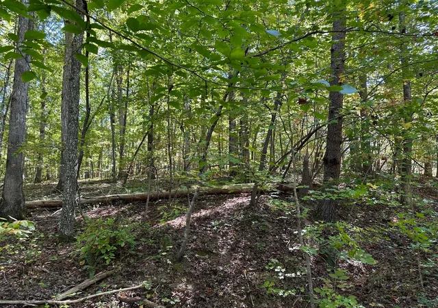 3rd image of 412 Smith Road, Spring City, TN 37381 | MLS# 3304321