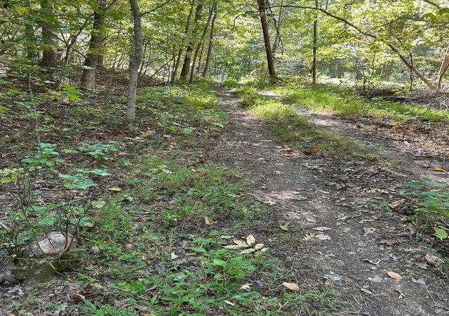 4th image of 412 Smith Road, Spring City, TN 37381 | MLS# 3304321