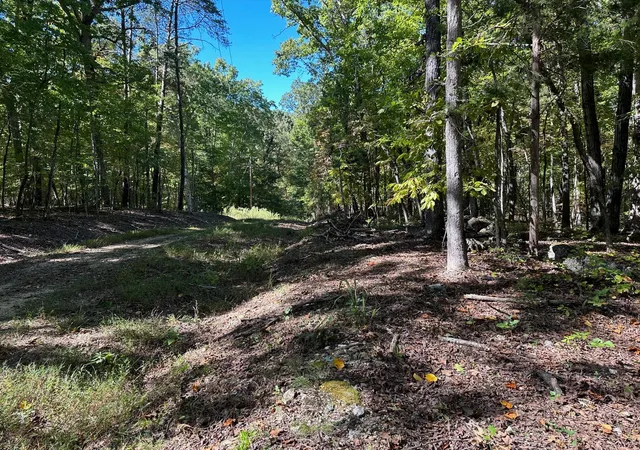 4th image of 411 Smith Road, Spring City, TN 37381 | MLS# 3304320