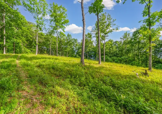 Homes for sale in Dover, TN | 164 Lewis Cir, Dover, TN 37058 | MLS# 3137516