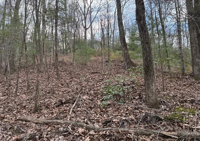 Homes for sale in Reliance, TN | 0 Chestnut Mountain Road, Reliance, TN 37369 | MLS# 3156646
