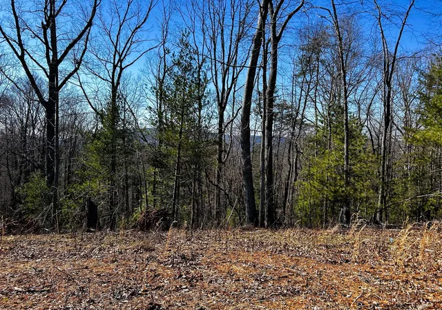 Homes for sale in Reliance, TN | 107125 Chestnut Mountain Road, Reliance, TN 37369 | MLS# 3244174