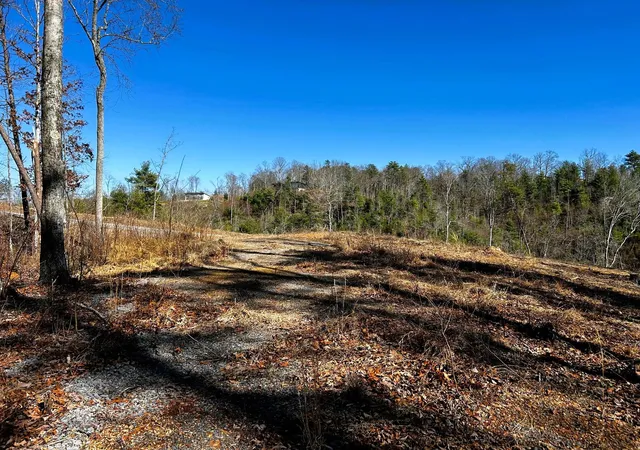 Homes for sale in Reliance, TN | 107125 Chestnut Mountain Road, Reliance, TN 37369 | MLS# 3244174