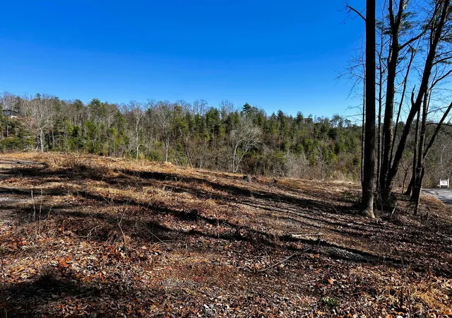 Homes for sale in Reliance, TN | 107125 Chestnut Mountain Road, Reliance, TN 37369 | MLS# 3244174
