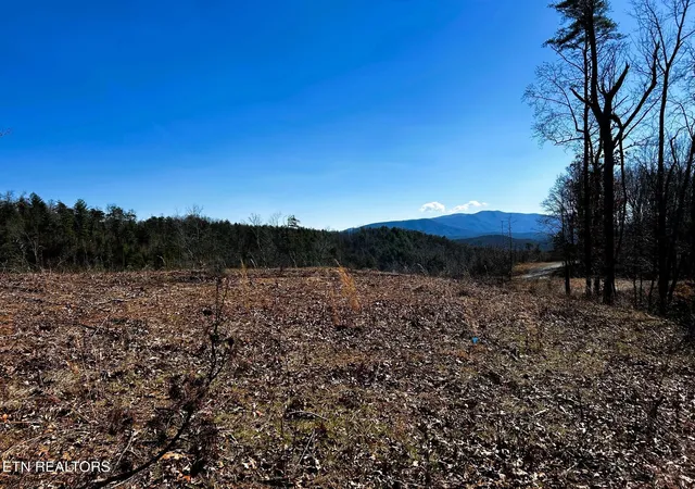 Homes for sale in Reliance, TN | 107125 Chestnut Mountain Rd, Reliance, TN 37369 | MLS# 3244231