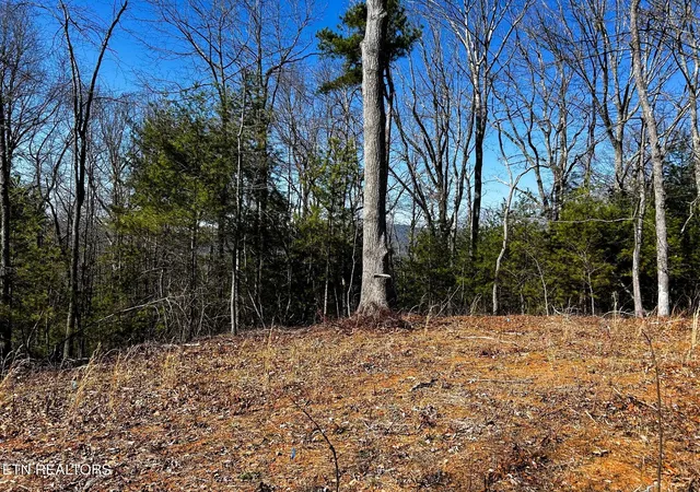 Homes for sale in Reliance, TN | 107125 Chestnut Mountain Rd, Reliance, TN 37369 | MLS# 3244231