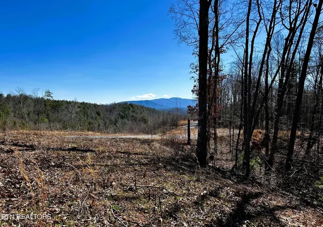Homes for sale in Reliance, TN | 107125 Chestnut Mountain Rd, Reliance, TN 37369 | MLS# 3244231