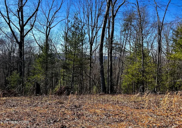 Homes for sale in Reliance, TN | 107125 Chestnut Mountain Rd, Reliance, TN 37369 | MLS# 3244231