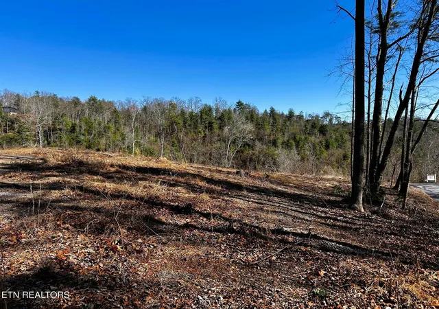 Homes for sale in Reliance, TN | 107125 Chestnut Mountain Rd, Reliance, TN 37369 | MLS# 3244231