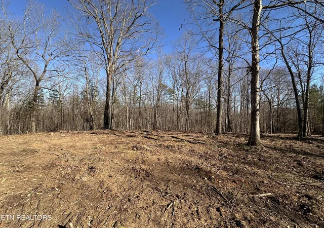 3rd image of 1453 Pickett Park Hwy, Jamestown, TN 38556 | MLS# 3137681