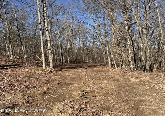 4th image of 1453 Pickett Park Hwy, Jamestown, TN 38556 | MLS# 3137681