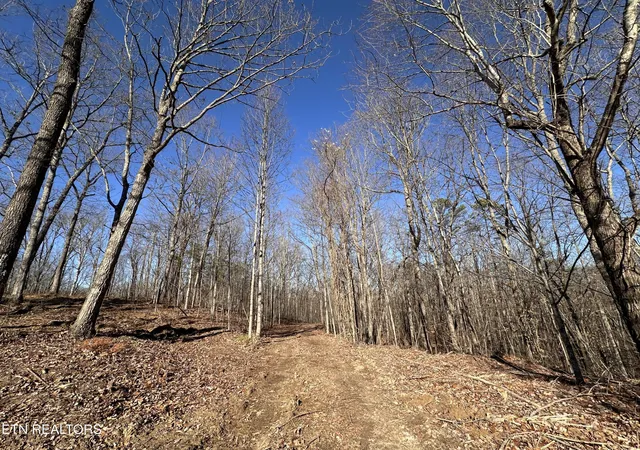 5th image of 1453 Pickett Park Hwy, Jamestown, TN 38556 | MLS# 3137681