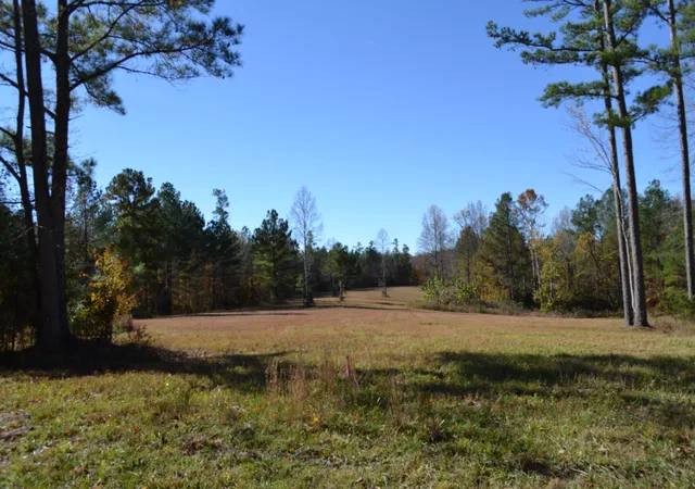 Homes for sale in Red Boiling Springs, TN | 0 Whitson Hollow Rd, Red Boiling Springs, TN 37150 | MLS# 3137731