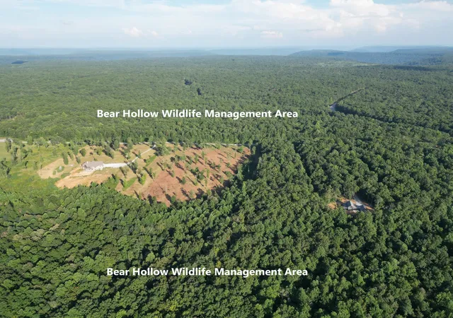 Photo 3 of Land for sale at 0 Box House Rd, Belvidere, TN 37306 | MLS# 3137765 | Listing updated on 2026-10-05
