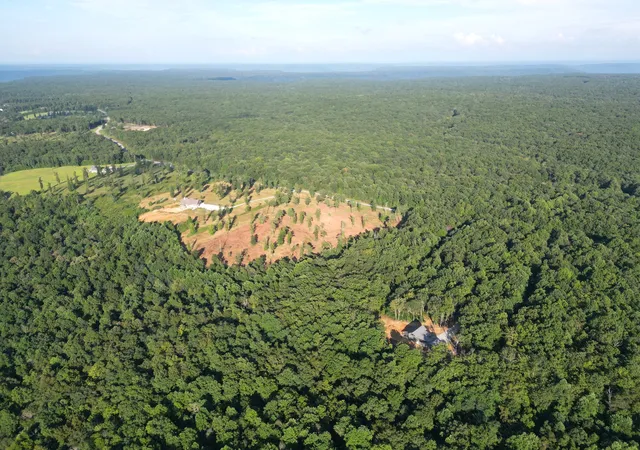 Photo 4 of Land for sale at 0 Box House Rd, Belvidere, TN 37306 | MLS# 3137765 | Listing updated on 2026-10-05