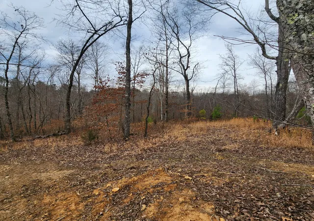 Photo 1 of Land for sale at 584 Back Bone Rd, Sparta, TN 38583 | MLS# 3138008 | Listing updated on 2026-08-30