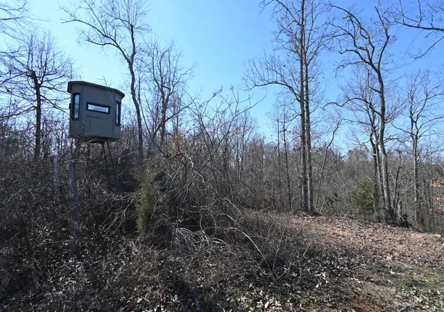 3rd image of 0 Hwy 128, Clifton, TN 38425 | MLS# 3138477