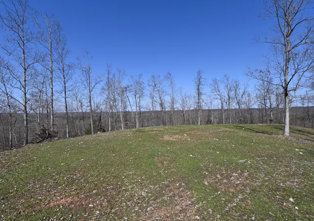4th image of 0 Hwy 128, Clifton, TN 38425 | MLS# 3138477