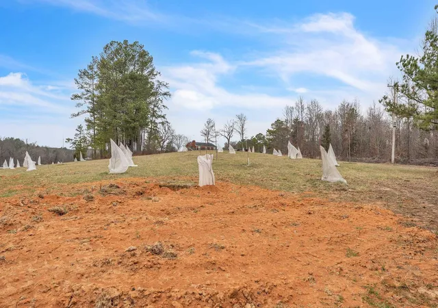 Homes for sale in Calhoun, TN | 73 Acres Athens Road, Calhoun, TN 37309 | MLS# 3252753