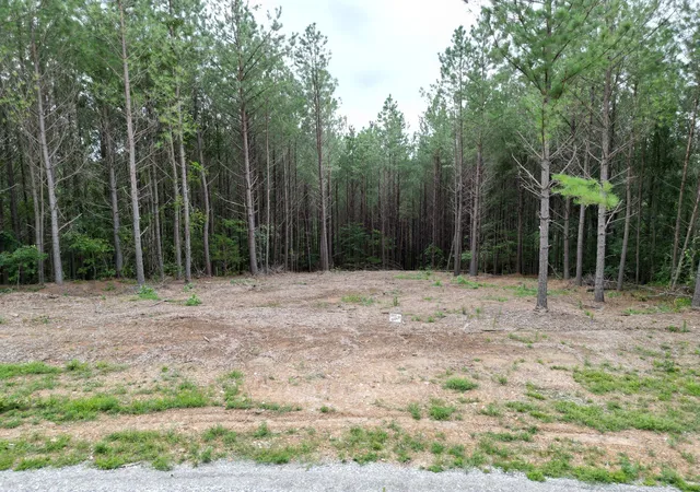 1st image of 297 Ashwood Dr, Linden, TN 37096 | MLS# 3145857