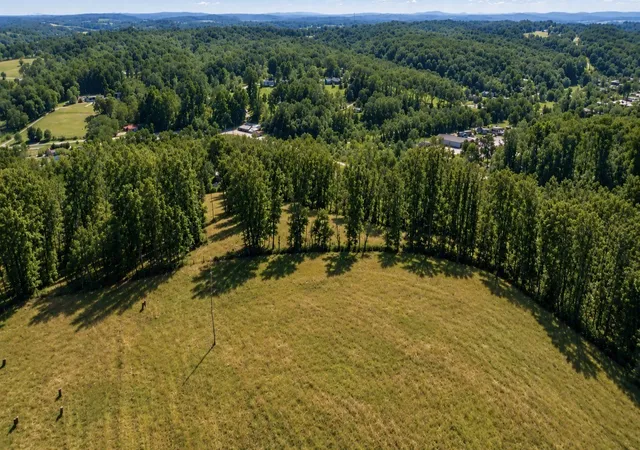 Photo 1 of Land for sale at 39 Old Hwy 149, Erin, TN 37061 | MLS# 3138977 | Listing updated on 2026-09-06
