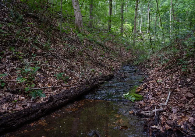 Photo 1 of Land for sale at 0 Chinkapin Ln, Franklin, TN 37064 | MLS# 3147293 | Listing updated on 2026-06-29