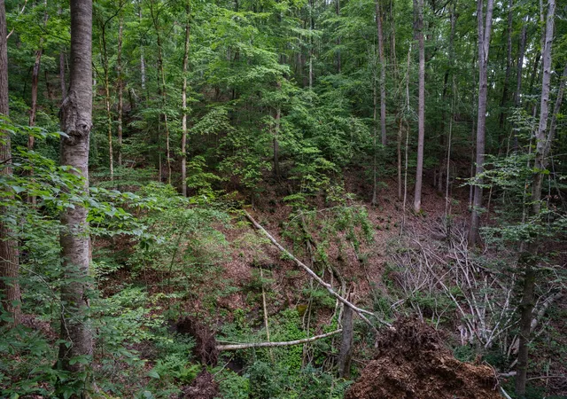 Photo 3 of Land for sale at 0 Chinkapin Ln, Franklin, TN 37064 | MLS# 3147293 | Listing updated on 2026-06-29