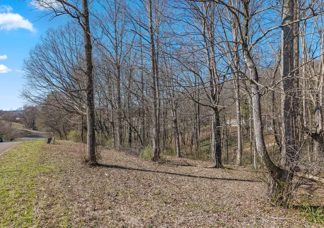 Homes for sale in Niota, TN | 12 County Road 321, Niota, TN 37826 | MLS# 3244210