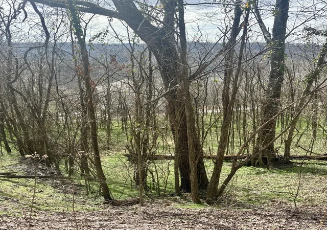 Photo 1 of Land for sale at 323 Seaton Dr, Smithville, TN 37166 | MLS# 3166811 | Listing updated on 2026-09-14
