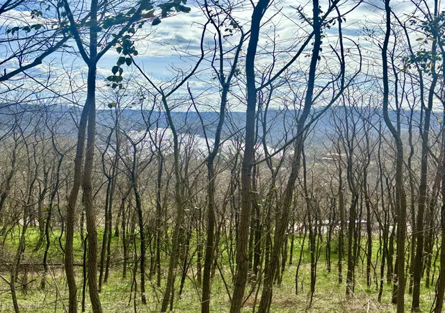 Photo 2 of Land for sale at 323 Seaton Dr, Smithville, TN 37166 | MLS# 3166811 | Listing updated on 2026-09-14