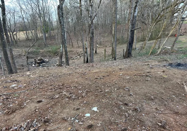 24th image of 1285 Dyer Road, Evensville, TN 37332 | MLS# 3304333