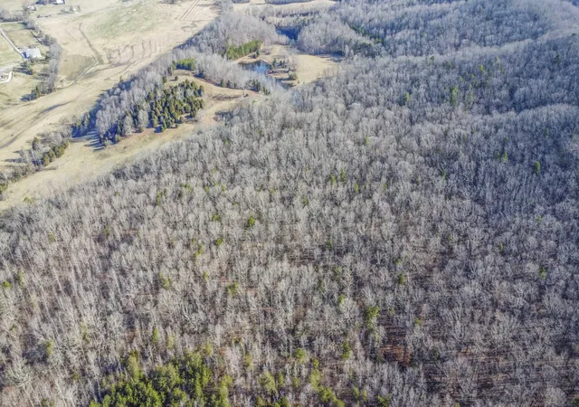 29th image of 259 Sherman Lane, Ten Mile, TN 37880 | MLS# 3304365