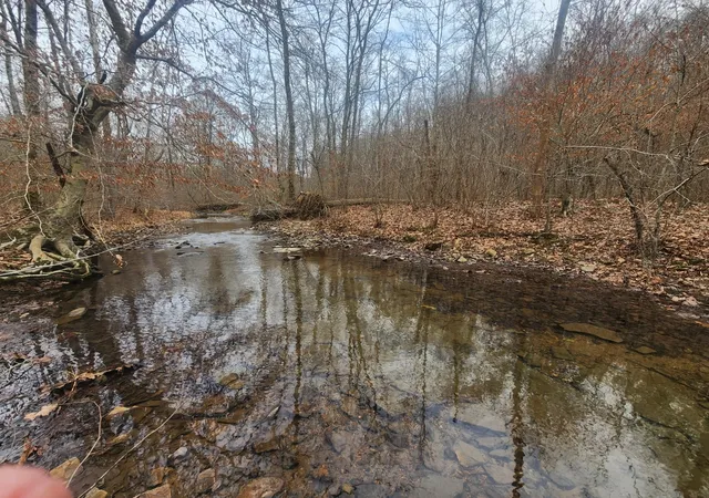 Photo 1 of Land for sale at 10 Blowing Springs Rd, Lawrenceburg, TN 38464 | MLS# 3139478 | Listing updated on 2026-09-20