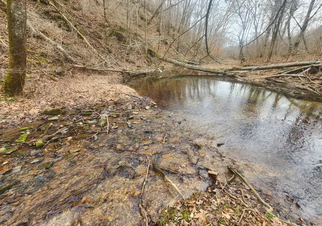 Photo 3 of Land for sale at 10 Blowing Springs Rd, Lawrenceburg, TN 38464 | MLS# 3139478 | Listing updated on 2026-09-20