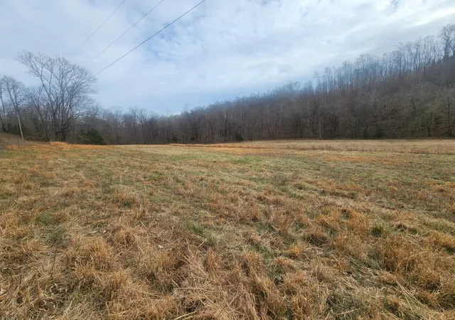 Homes for sale in Lawrenceburg, TN | 10 Blowing Springs Rd, Lawrenceburg, TN 38464 | MLS# 3139478