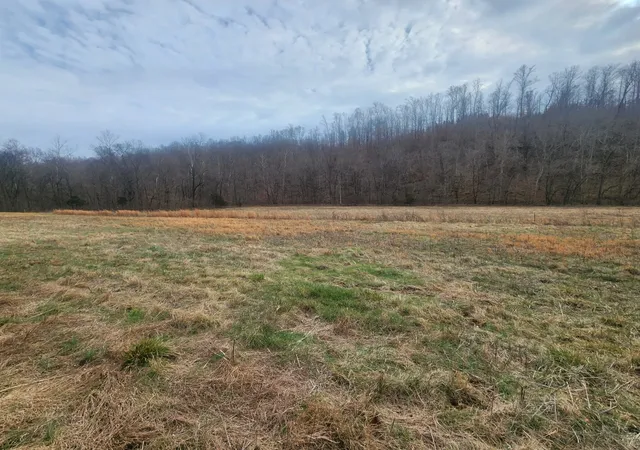 Homes for sale in Lawrenceburg, TN | 10 Blowing Springs Rd, Lawrenceburg, TN 38464 | MLS# 3139478