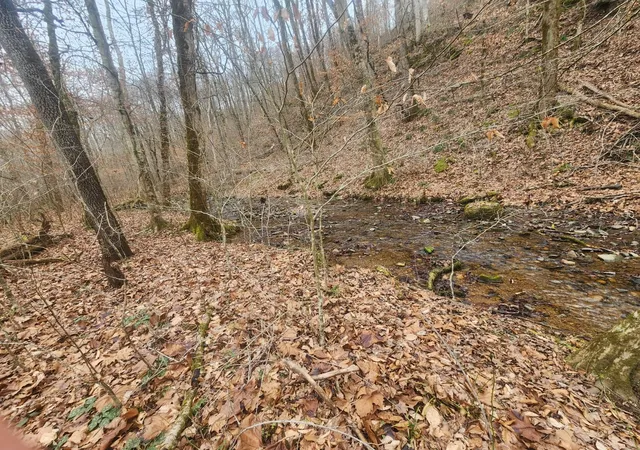 9th image of 10 Blowing Springs Rd, Lawrenceburg, TN 38464 | MLS# 3139478