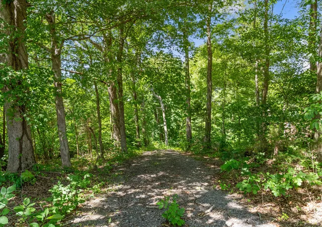 4th image of 0 Old Clks Springfield Rd, Clarksville, TN 37042 | MLS# 3139492