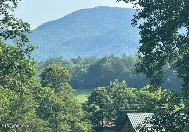 5th image of 584 Bethel Church Rd, Townsend, TN 37882 | MLS# 3210911