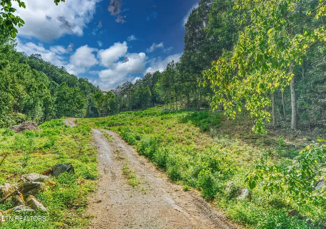 Photo 1 of Land for sale at 1670 Jobey Green Holw Rd, Sevierville, TN 37876 | MLS# 3541986 | Listing updated on 2026-09-21
