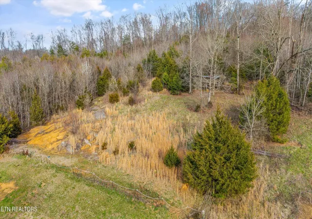 38th image of 129 Pleasant Hill Rd, Sweetwater, TN 37874 | MLS# 3304472
