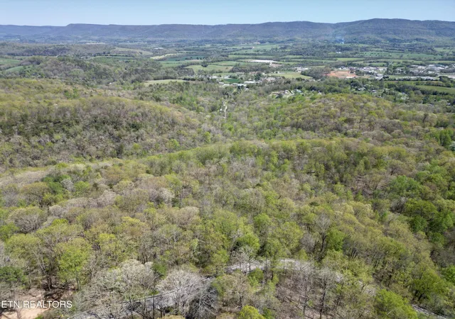 17th image of 0 Old Spencer Rd   26 Acres Rd, Pikeville, TN 37367 | MLS# 3143366