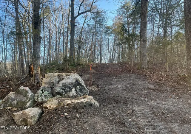 2nd image of 0 Old Spencer Rd   26 Acres Rd, Pikeville, TN 37367 | MLS# 3143366