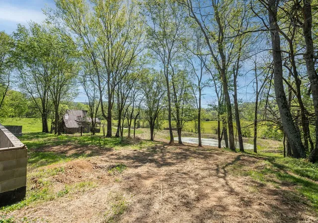 Photo 4 of Land for sale at 3938 Ostella Rd, Cornersville, TN 37047 | MLS# 3178157 | Listing updated on 2026-09-22