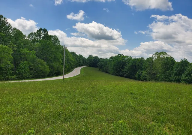 Homes for sale in Pleasant Shade, TN | 0 Carthage Rd, Pleasant Shade, TN 37145 | MLS# 3145147