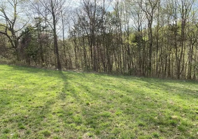 Homes for sale in Pleasant Shade, TN | 0 Carthage Rd, Pleasant Shade, TN 37145 | MLS# 3145147