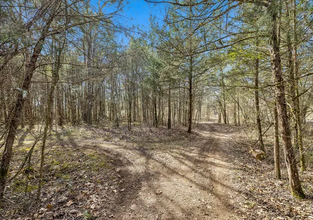 Homes for sale in Unionville, TN | 7 Paschal Rd, Unionville, TN 37180 | MLS# 3145416