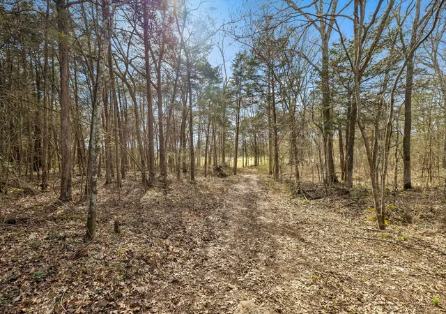 Homes for sale in Unionville, TN | 7 Paschal Rd, Unionville, TN 37180 | MLS# 3145416