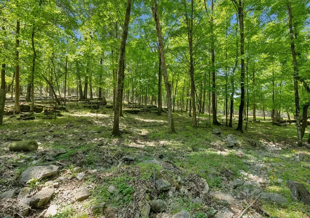 Photo 2 of Land for sale at 1494 Grant Rd, Watertown, TN 37184 | MLS# 3179760 | Listing updated on 2026-09-25