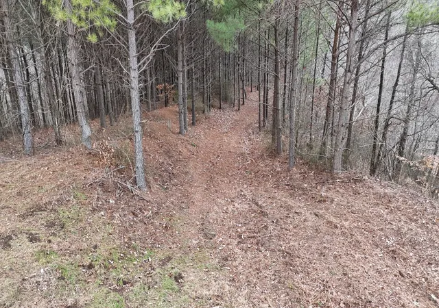 1st image of 2932 Old Hohenwald Rd, Linden, TN 37096 | MLS# 3312561